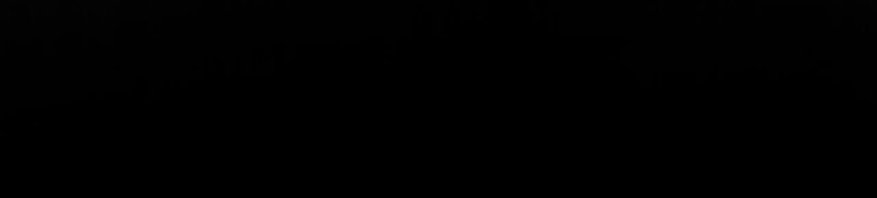第 221 页