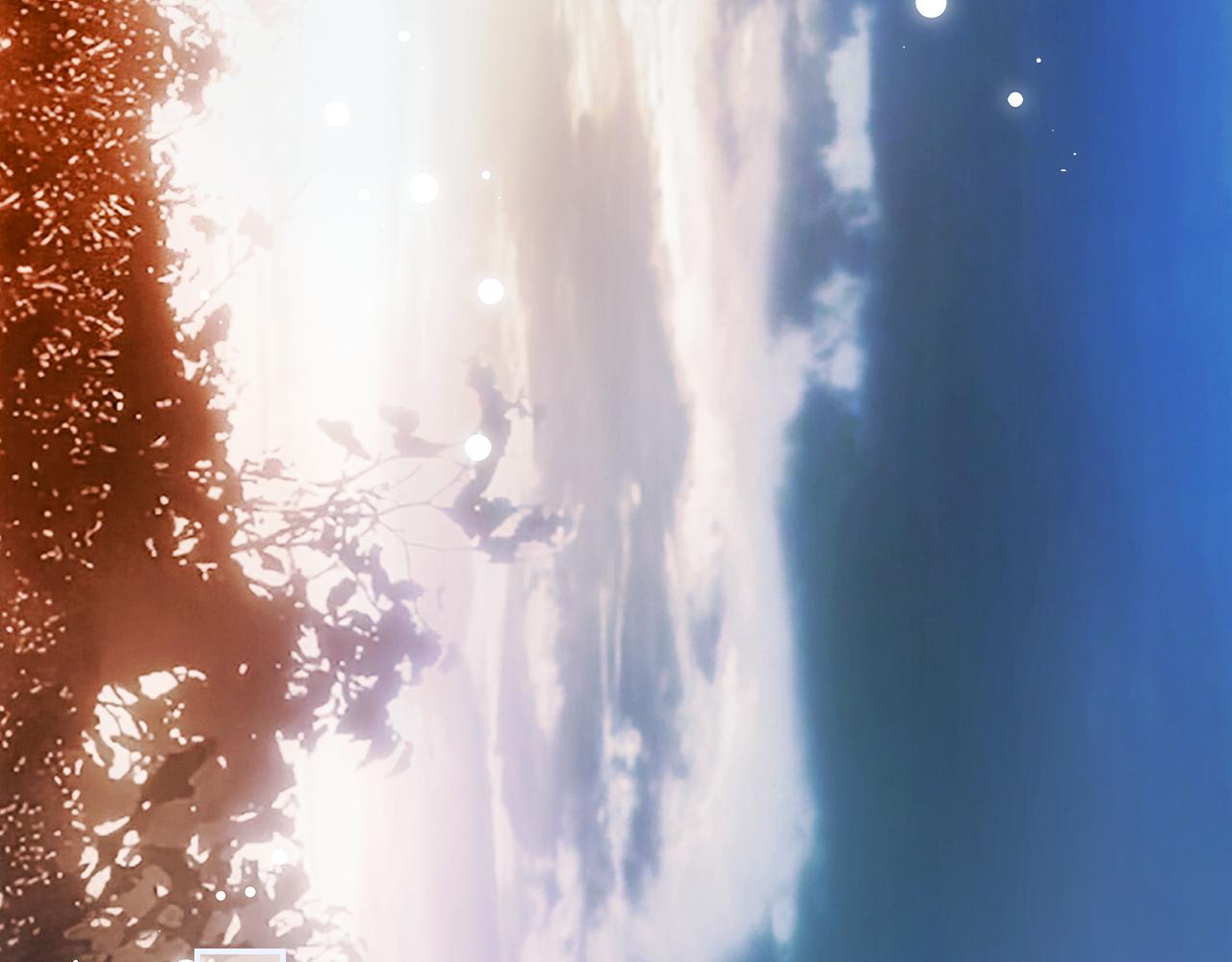 第 68 页