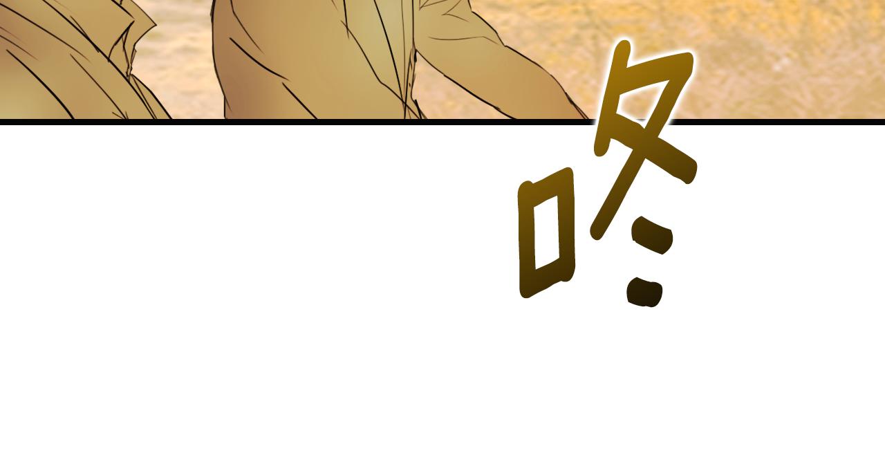 第 222 页