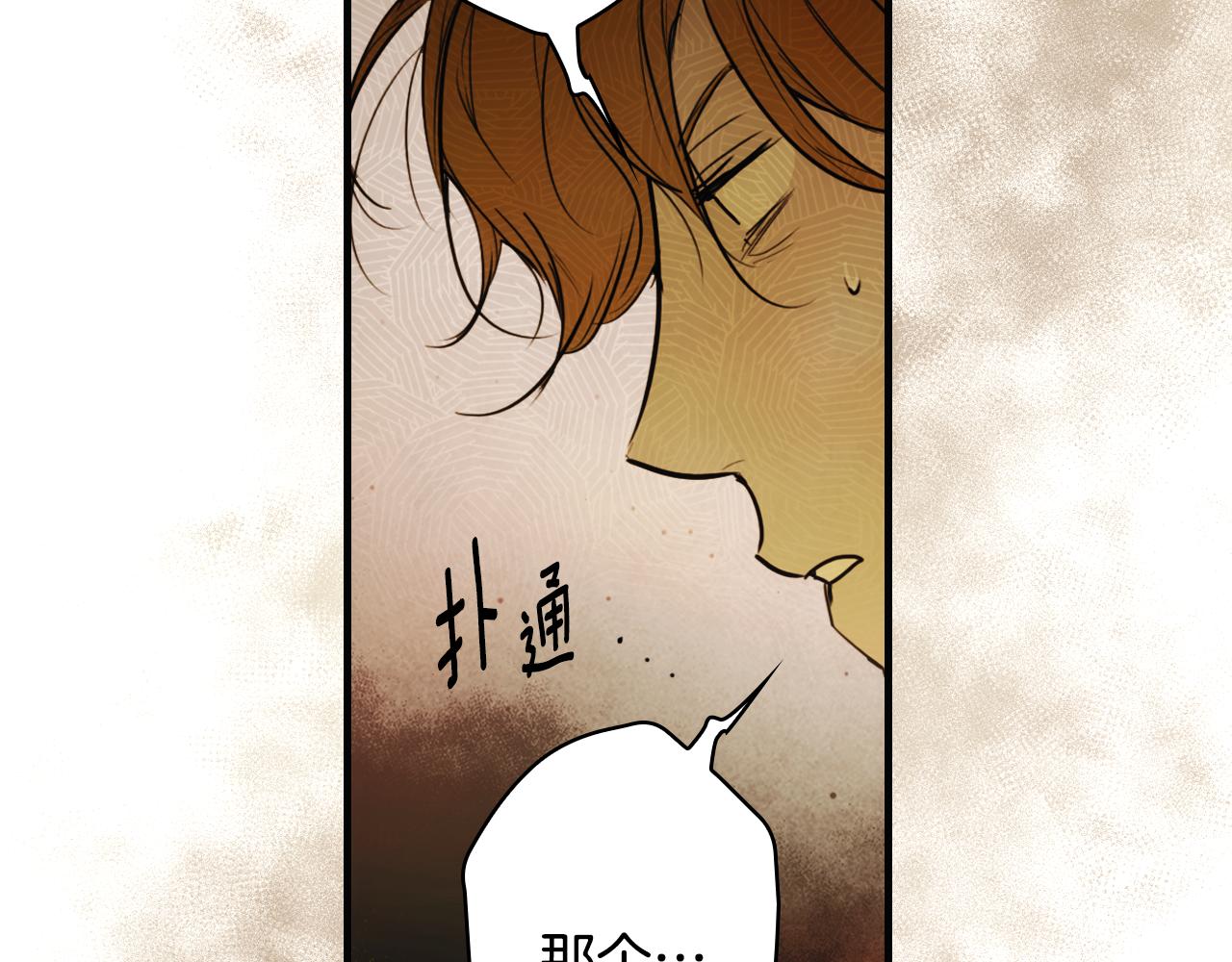 第 248 页