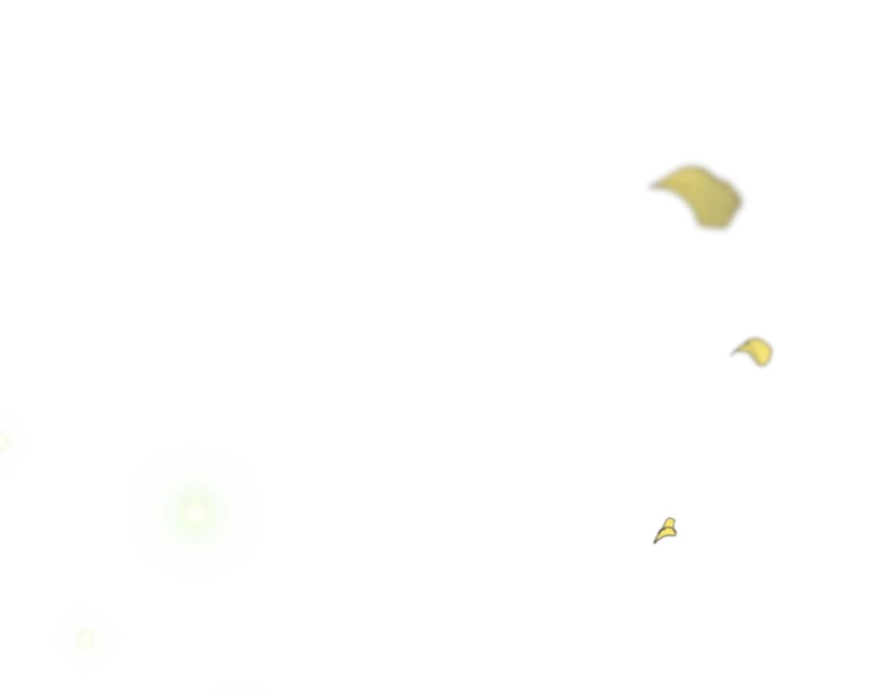 第 74 页