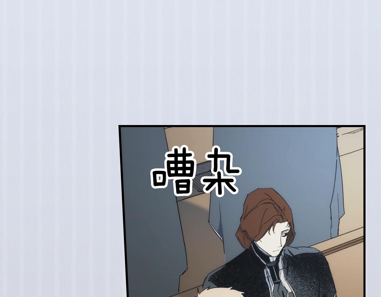 第 110 页
