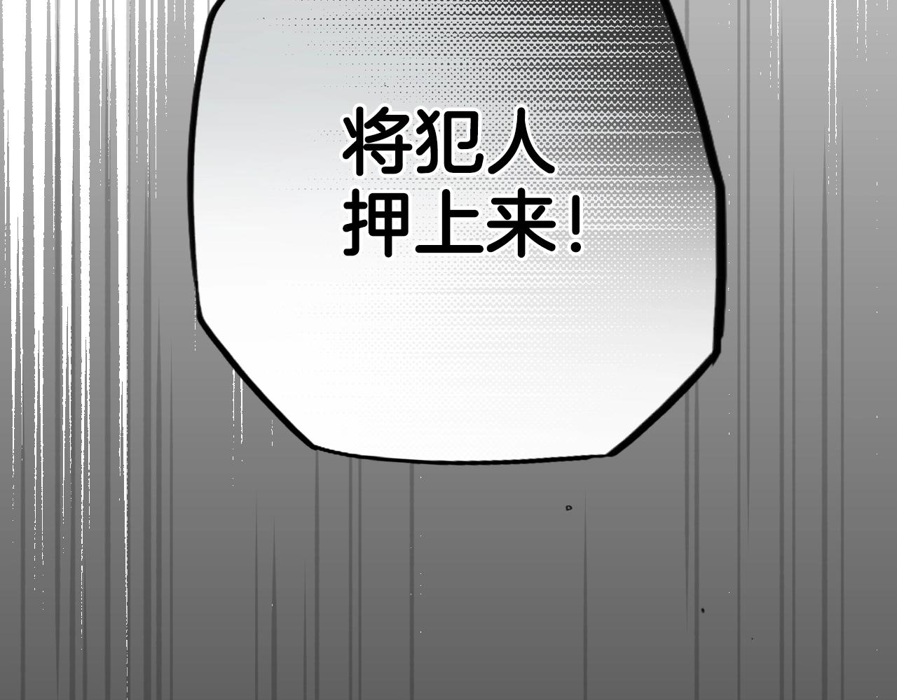 第 163 页
