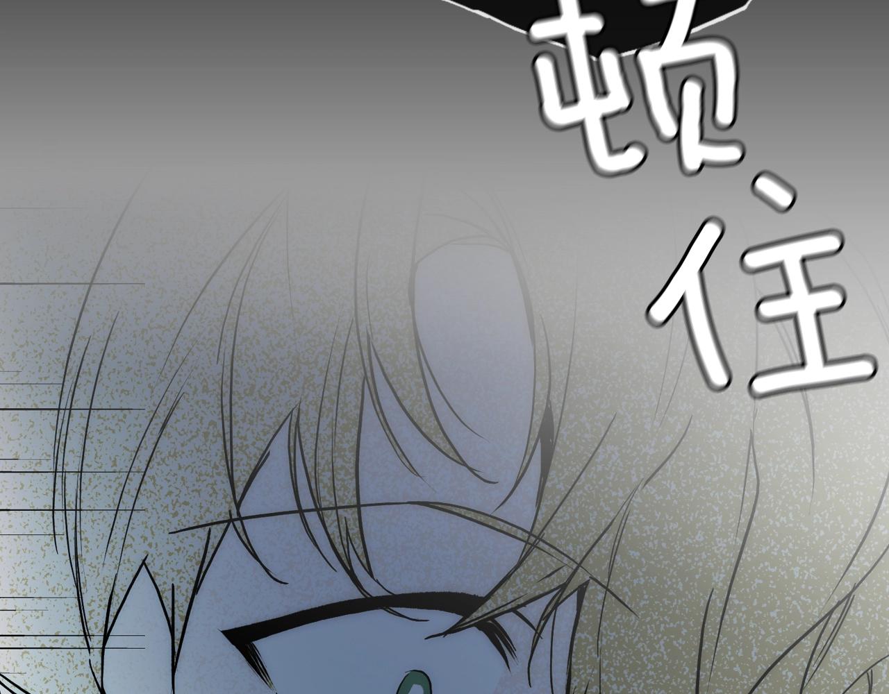 第 117 页