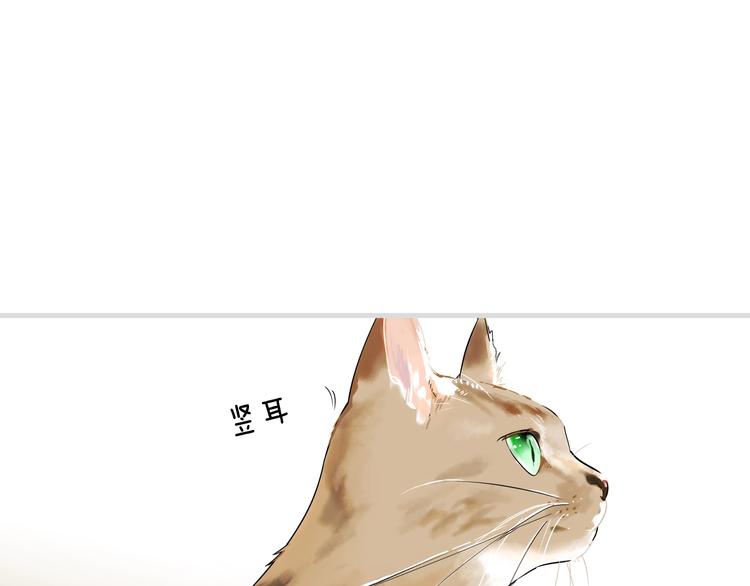 第 161 页
