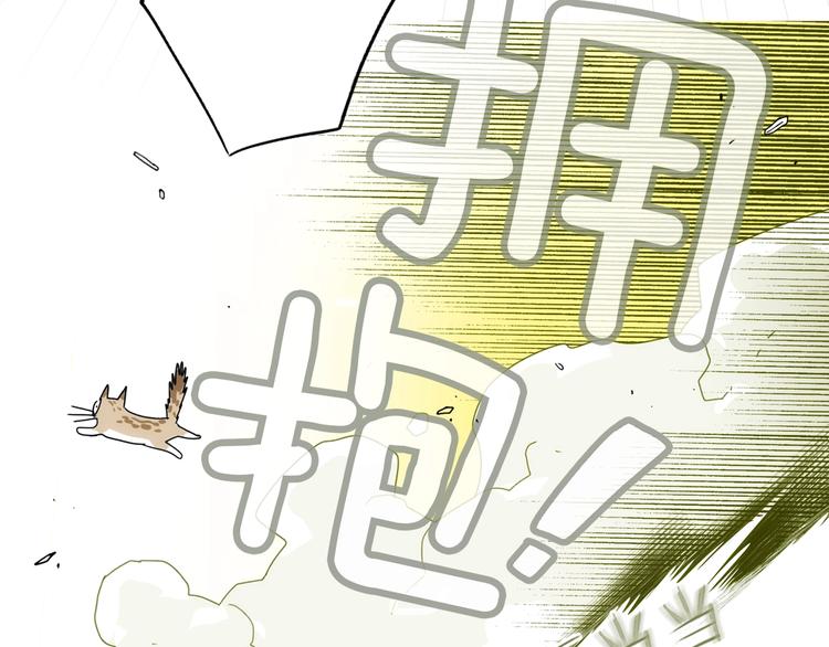 第 167 页