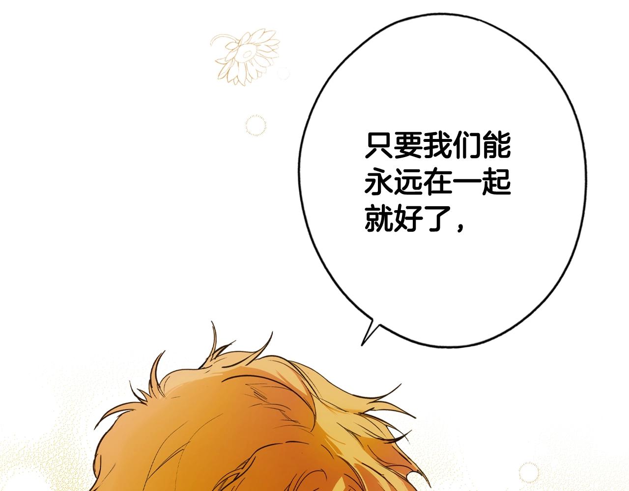 第 244 页