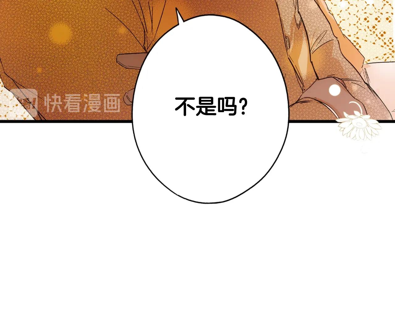 第 246 页