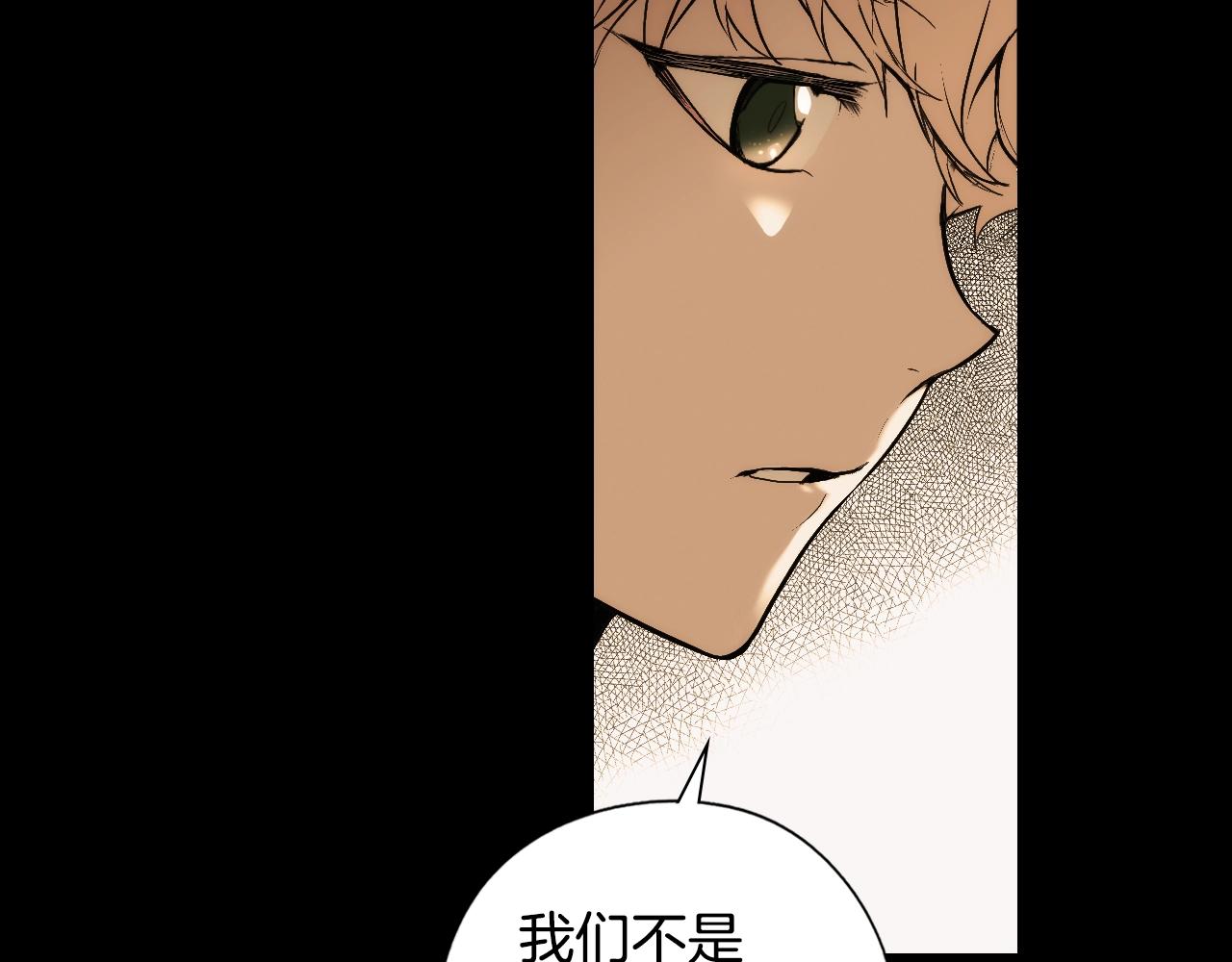 第 113 页
