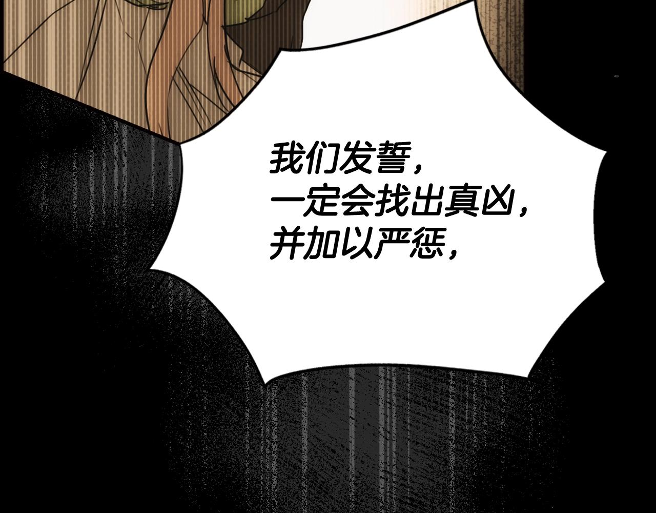 第 207 页