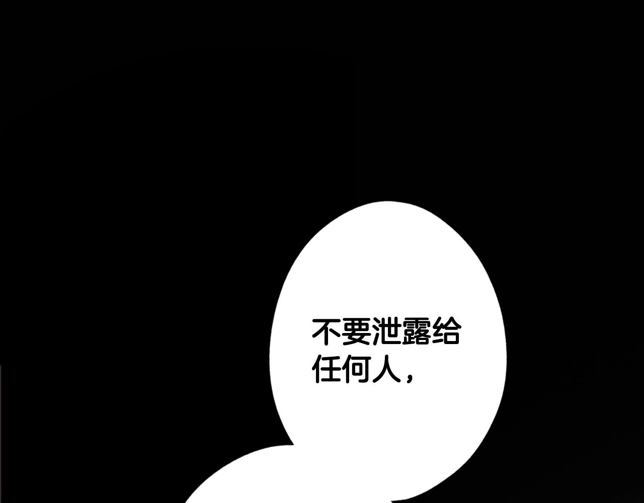 第 247 页