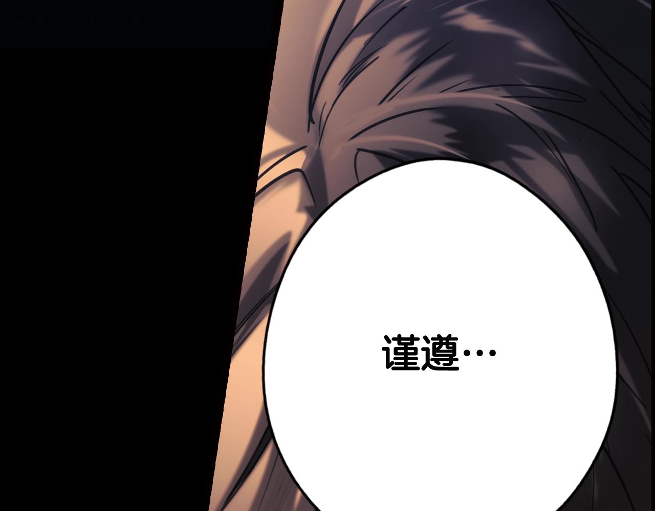 第 254 页