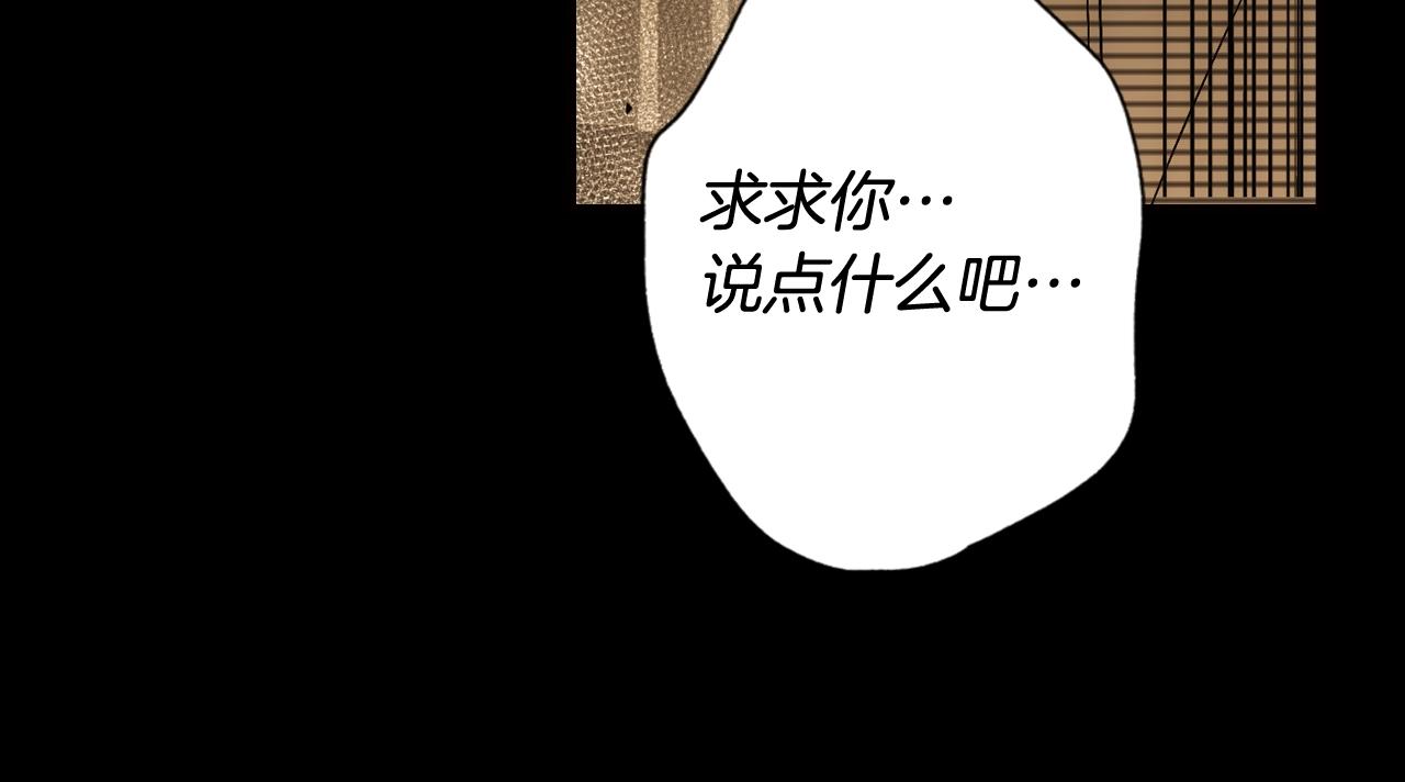 第 178 页