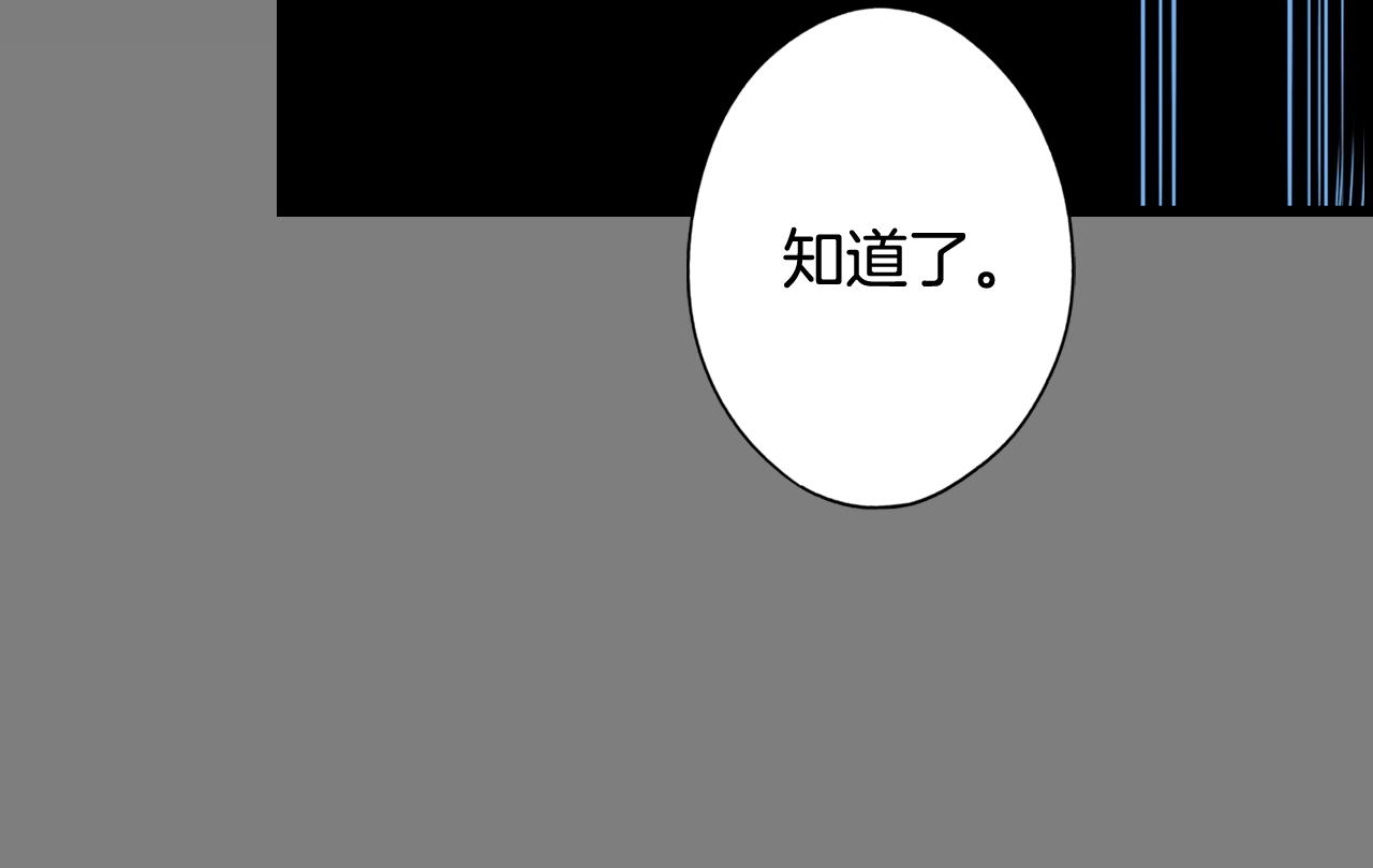 第 213 页