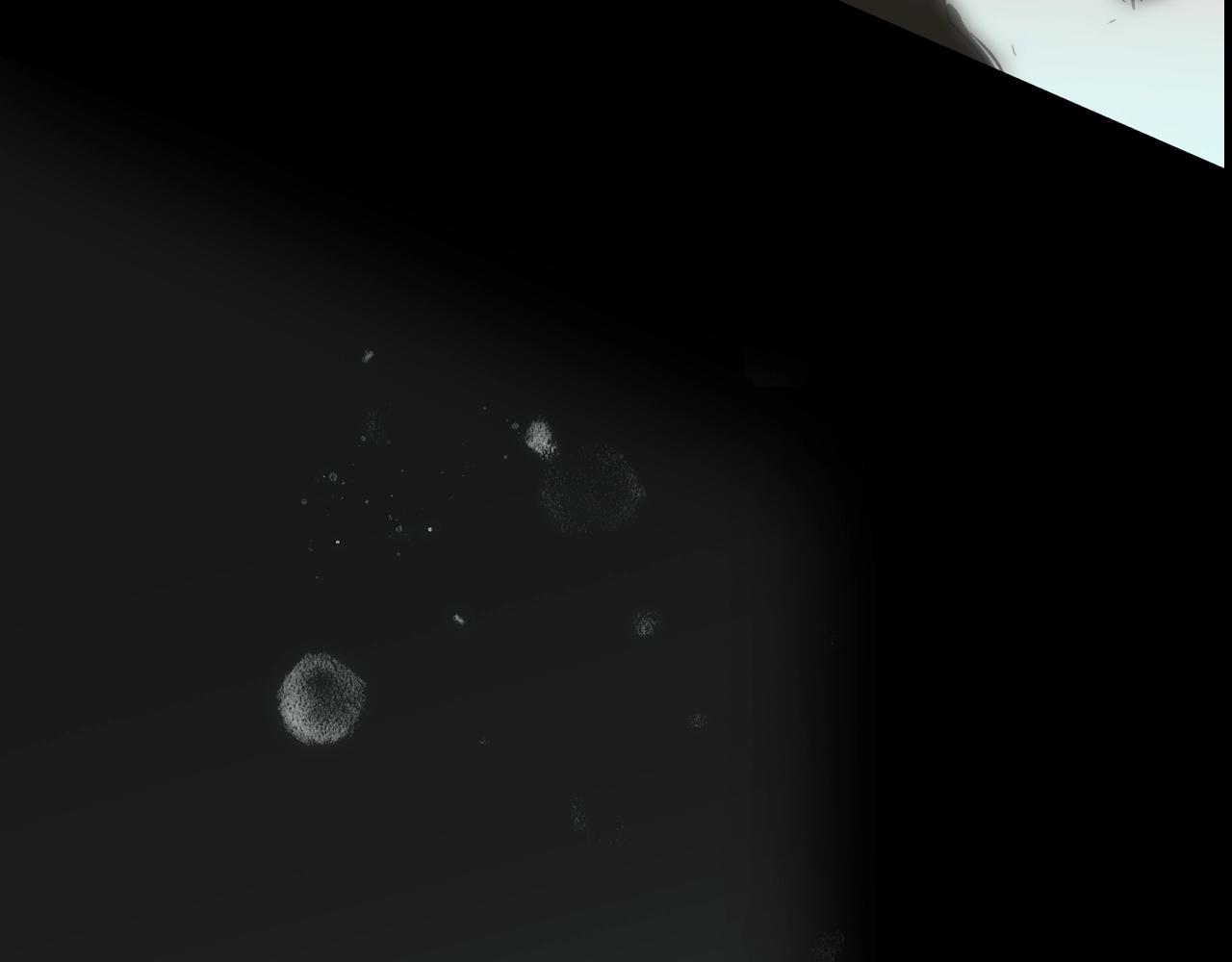 第 190 页