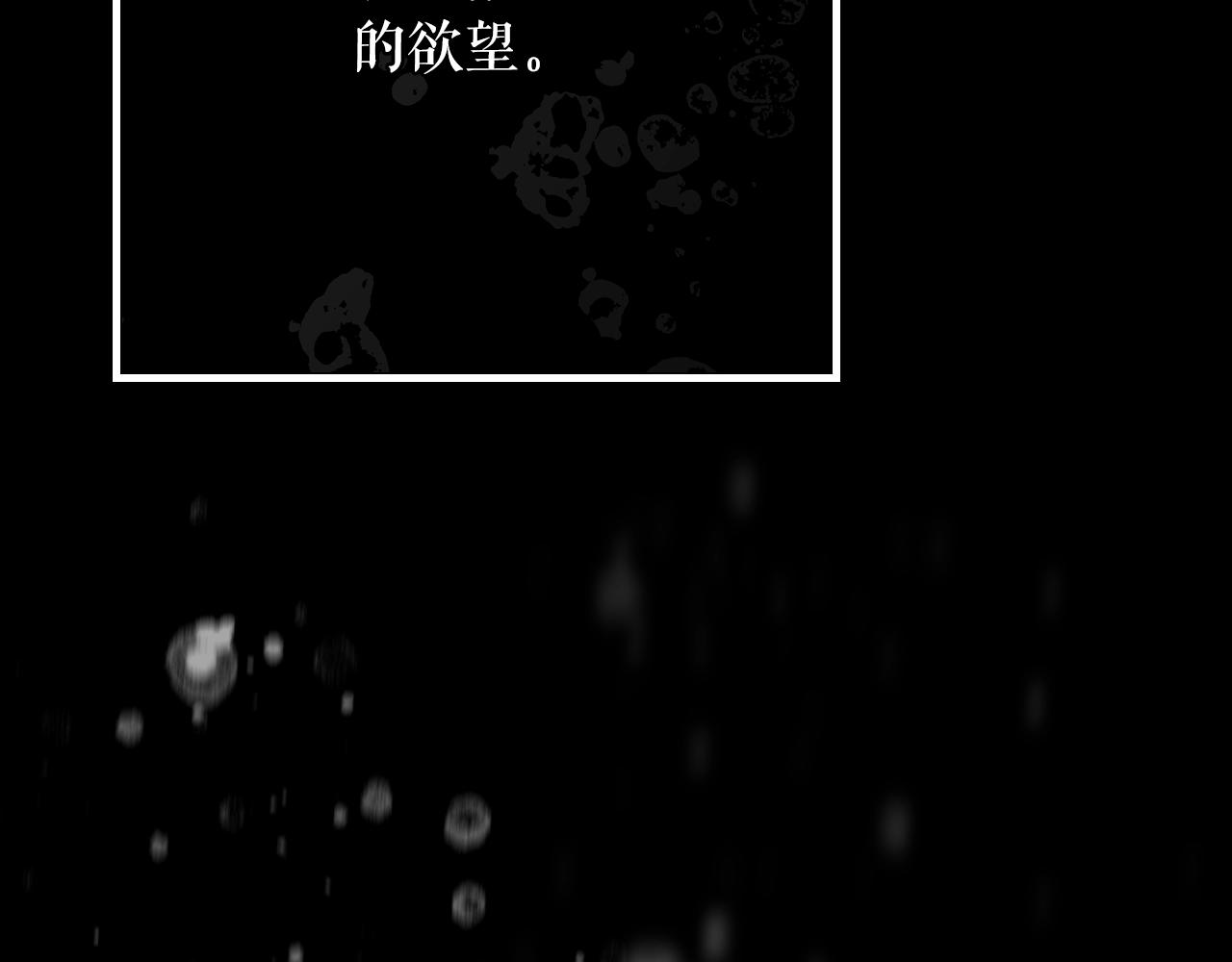 第 204 页