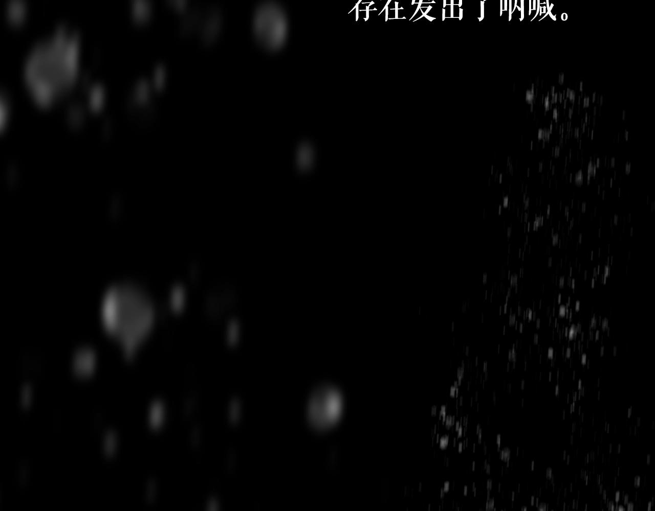 第 206 页
