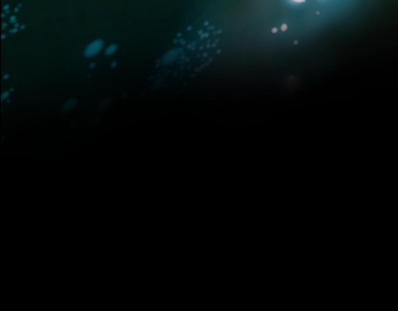 第 216 页