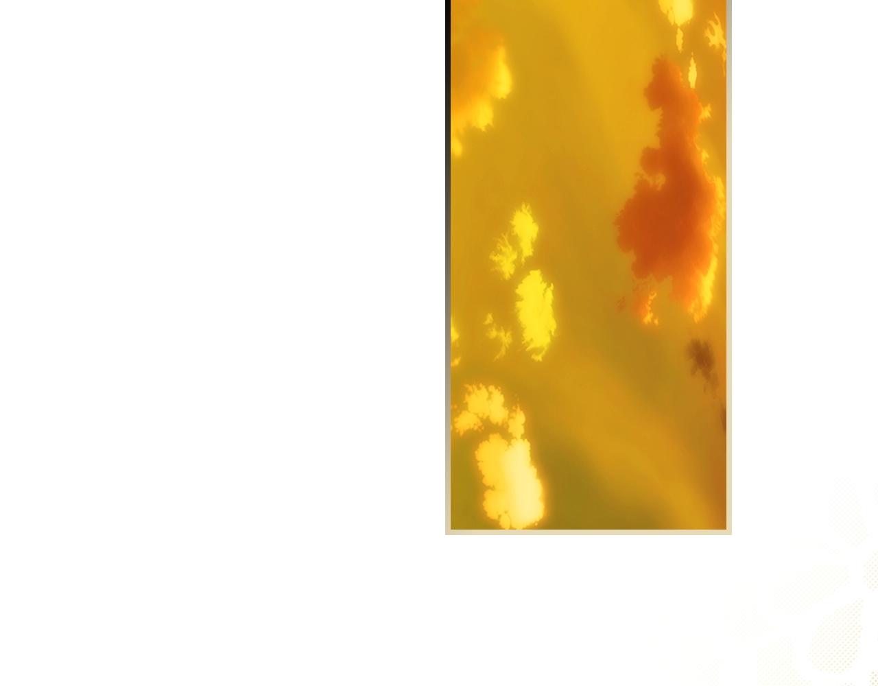 第 200 页