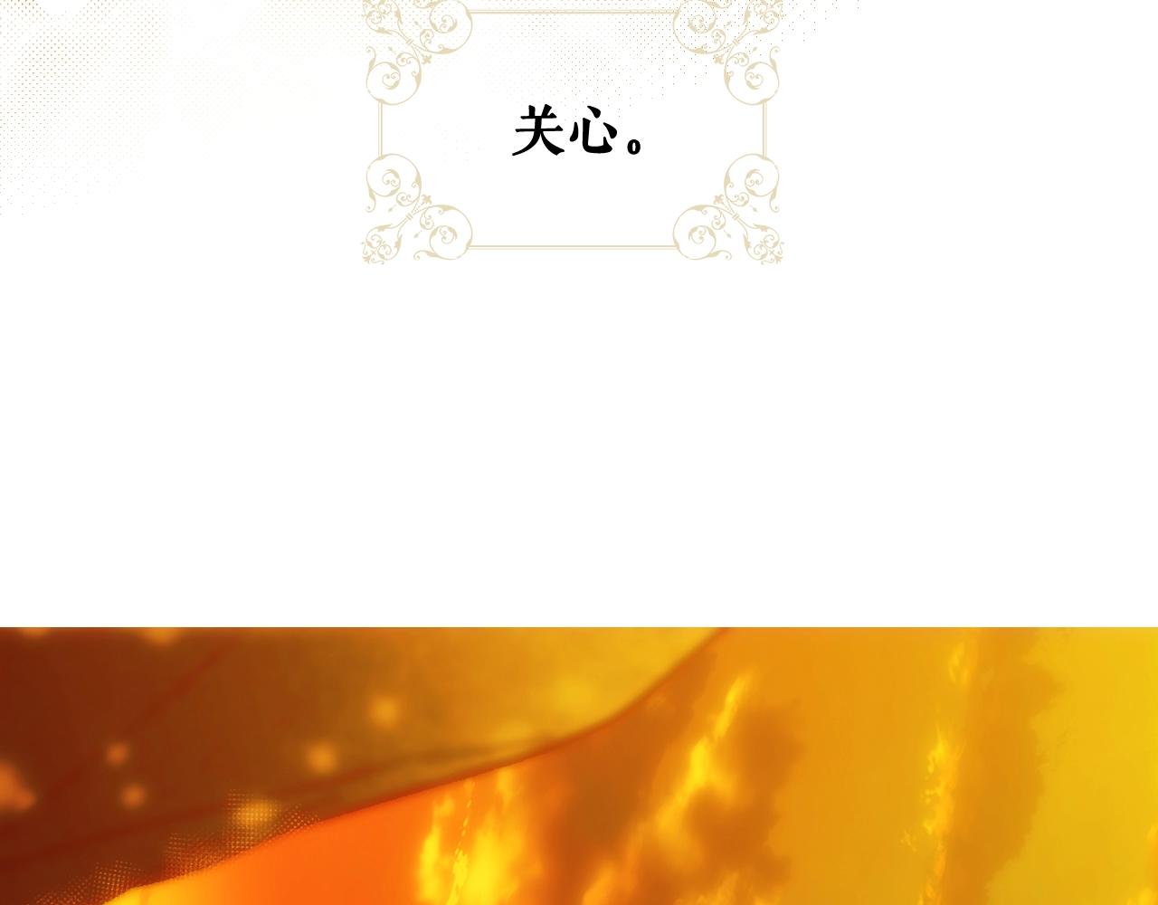 第 206 页