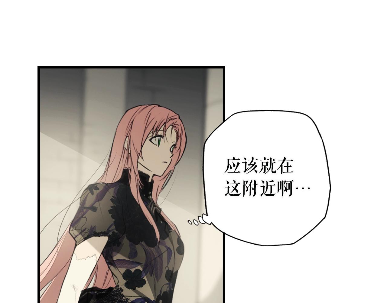 第 119 页