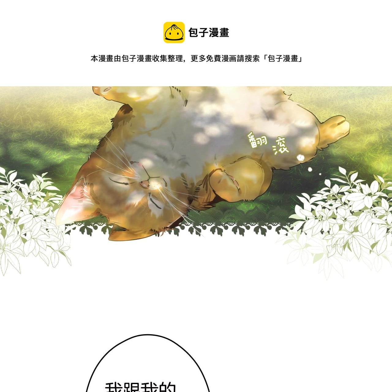 第 61 页
