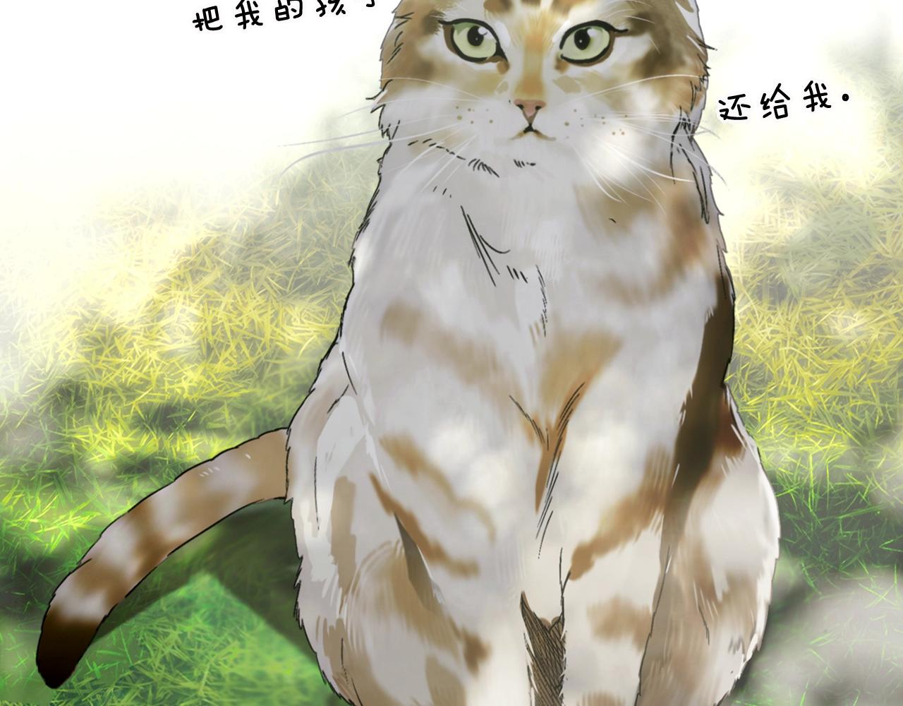 第 87 页