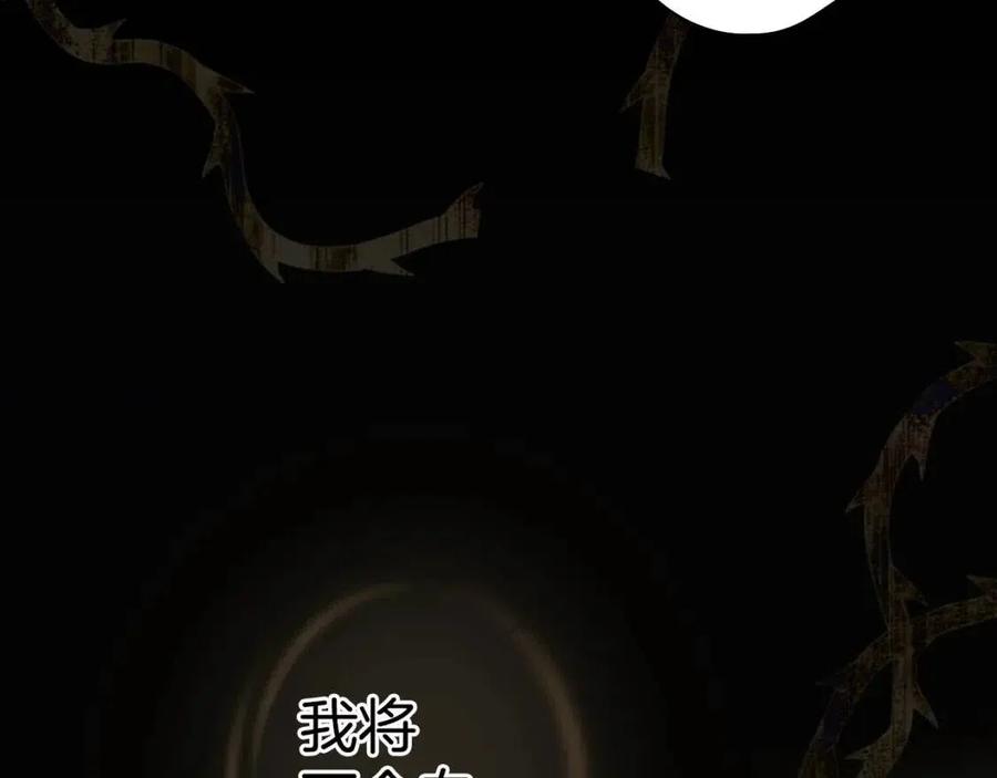 第 146 页