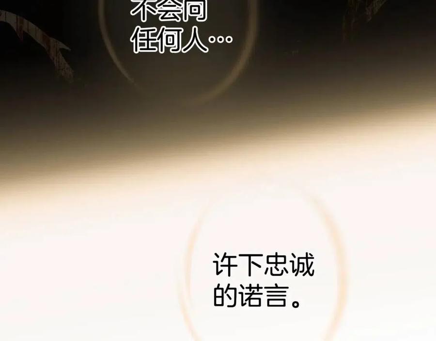 第 147 页