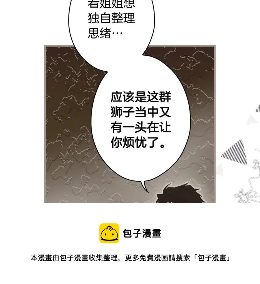 第 205 页
