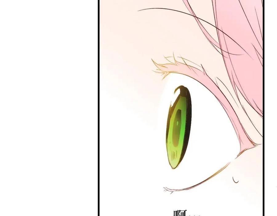 第 127 页