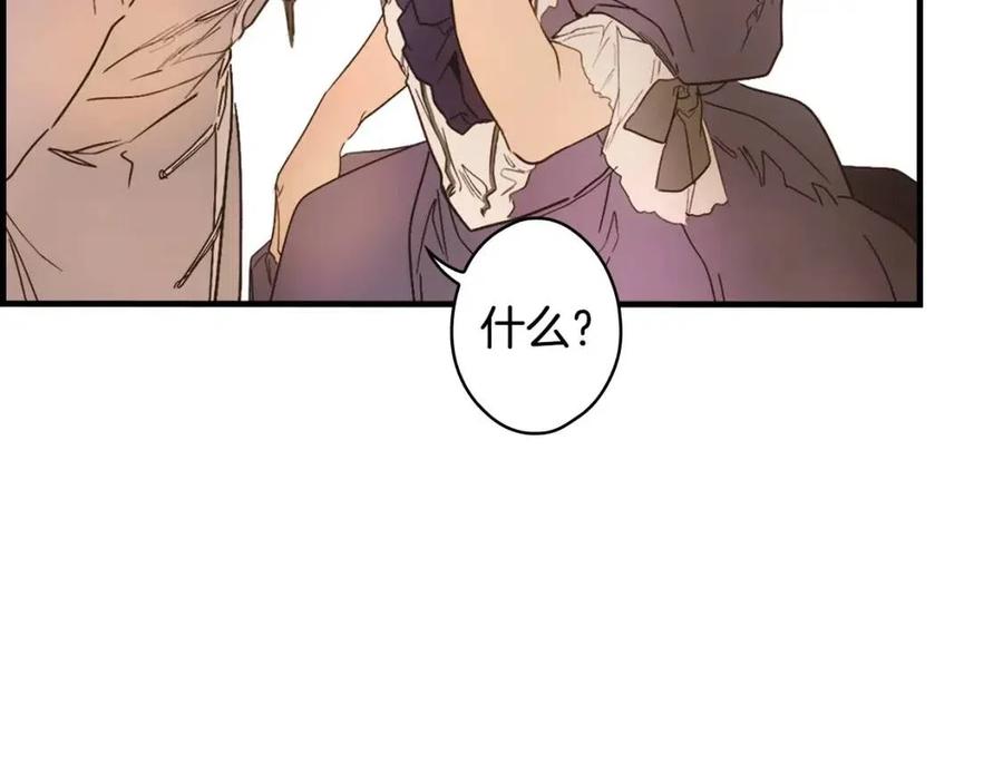 第 148 页