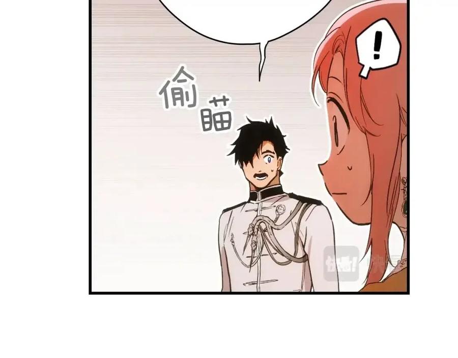 第 155 页