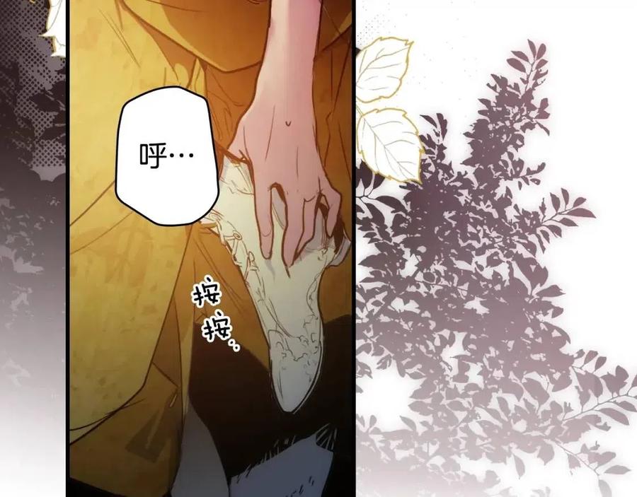 第 178 页