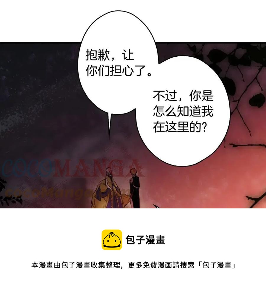 第 113 页
