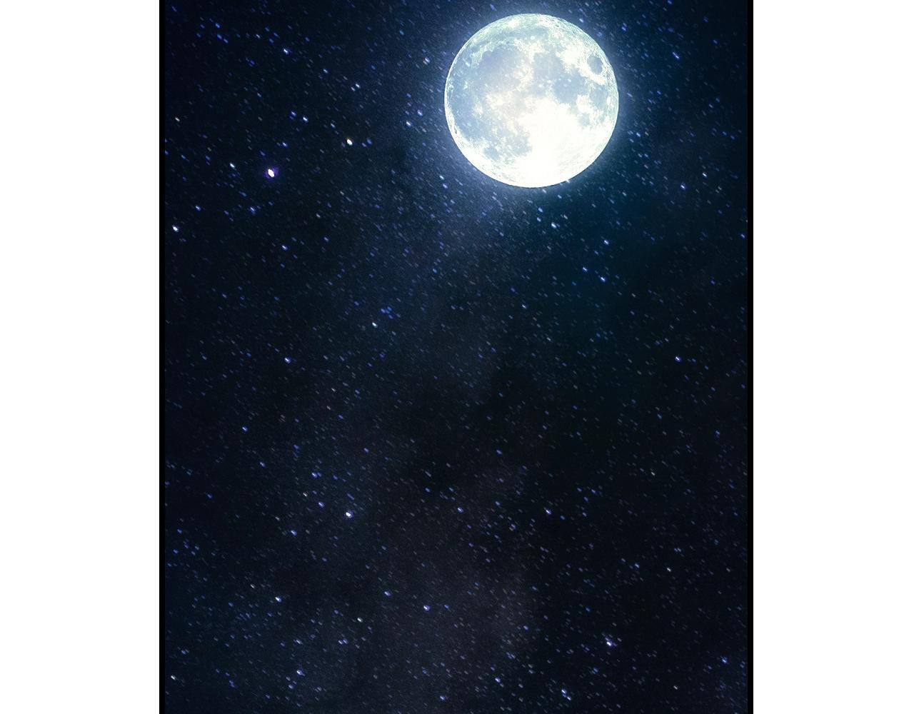 第 51 页