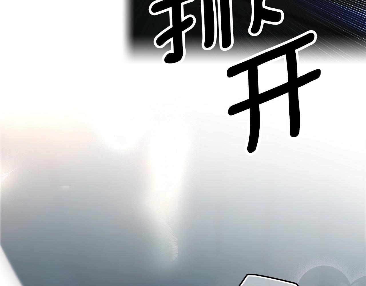 第 110 页