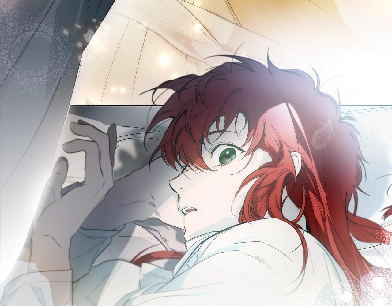 第 113 页