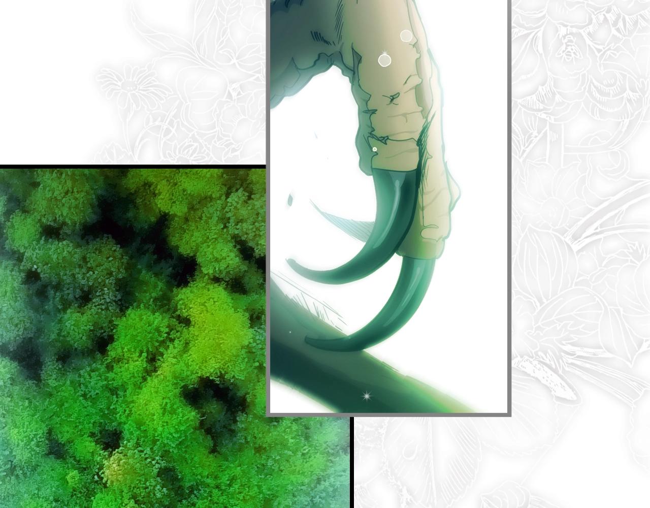 第 81 页