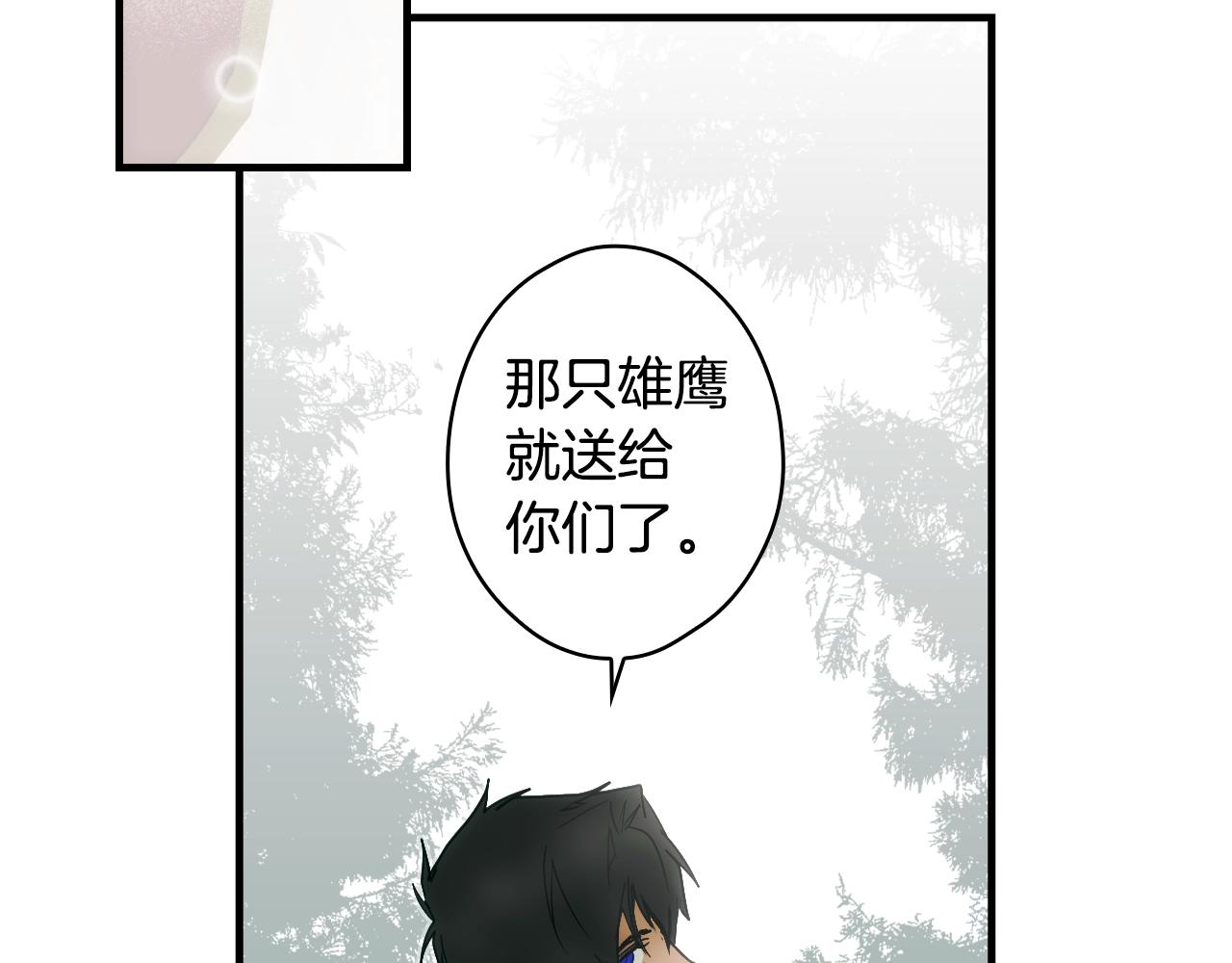 第 101 页