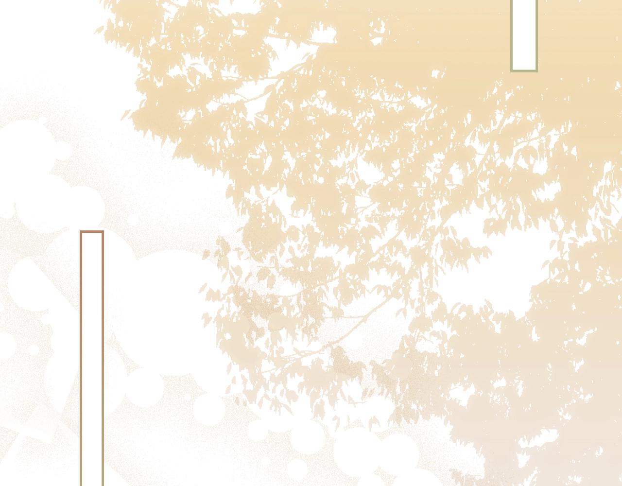 第 155 页