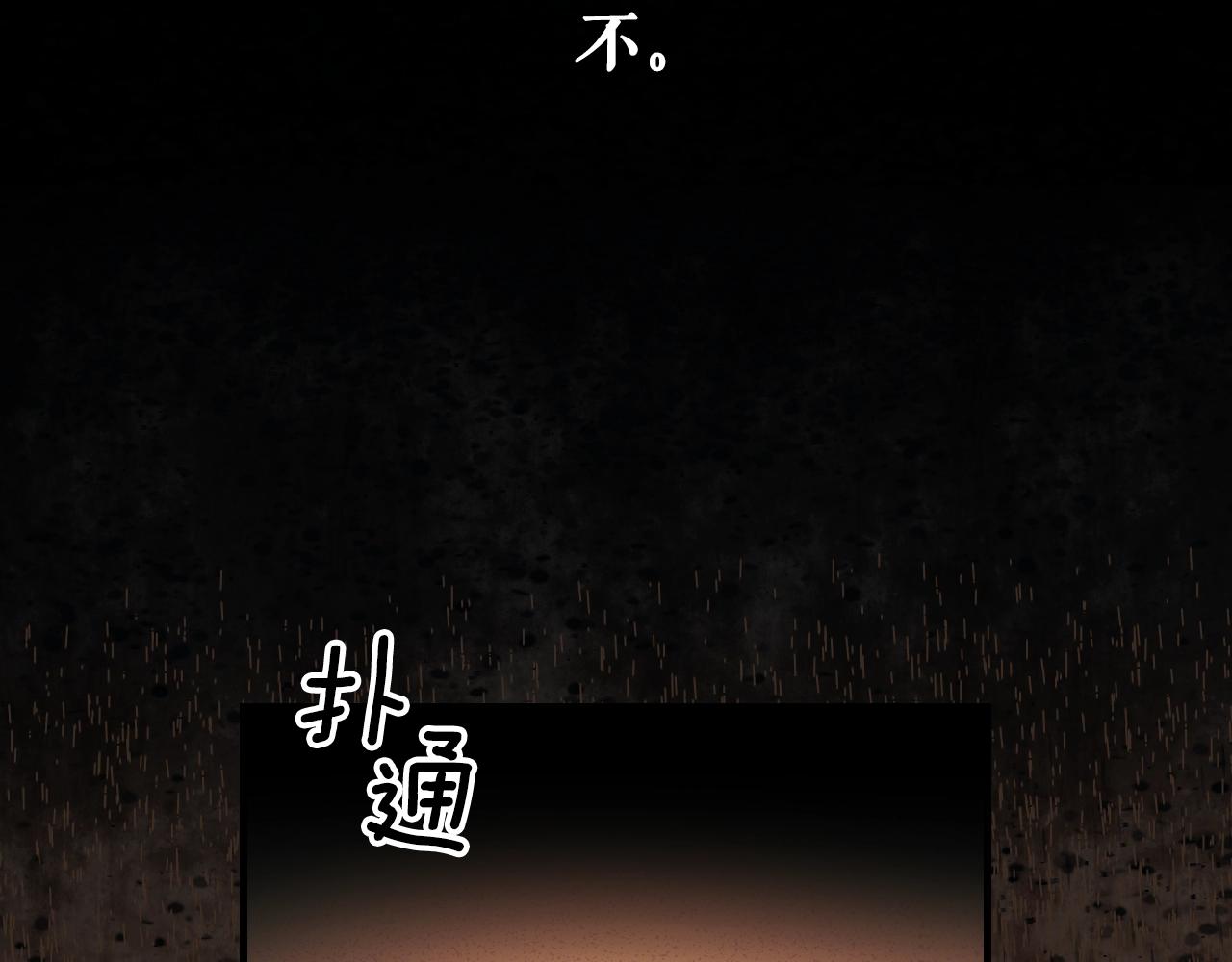 第 206 页