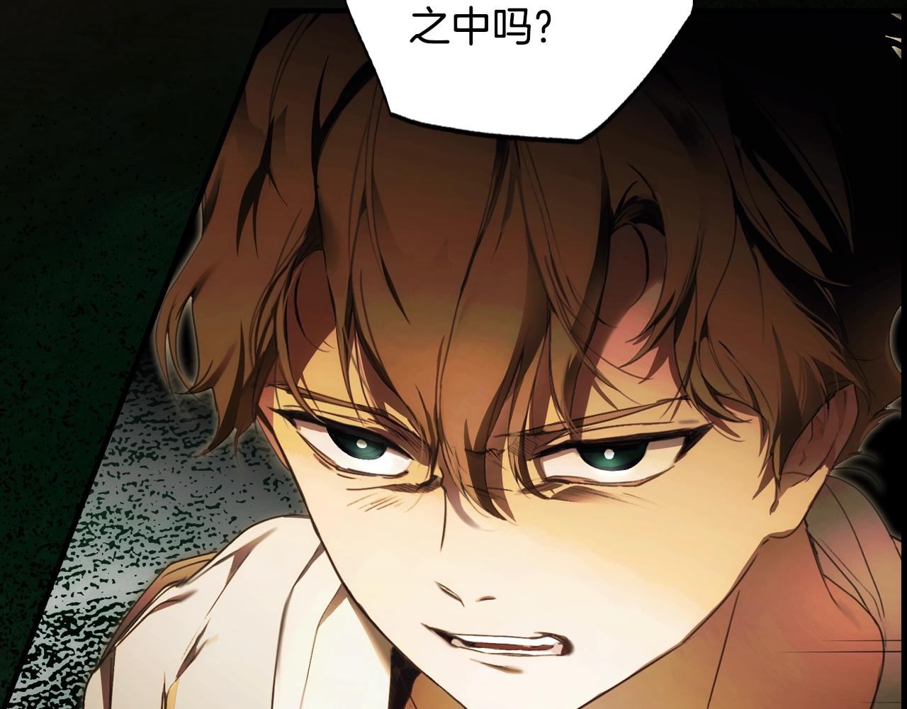 第 213 页