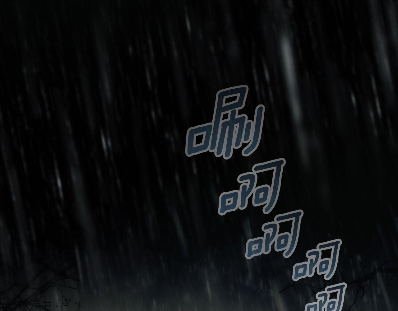 第 255 页