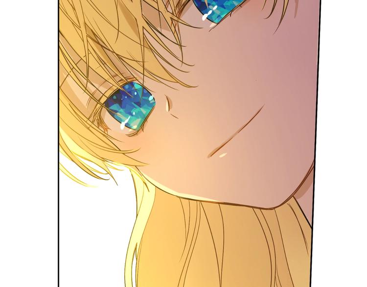 第 113 页