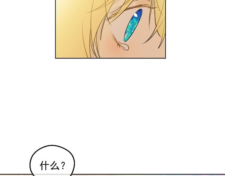 第 103 页