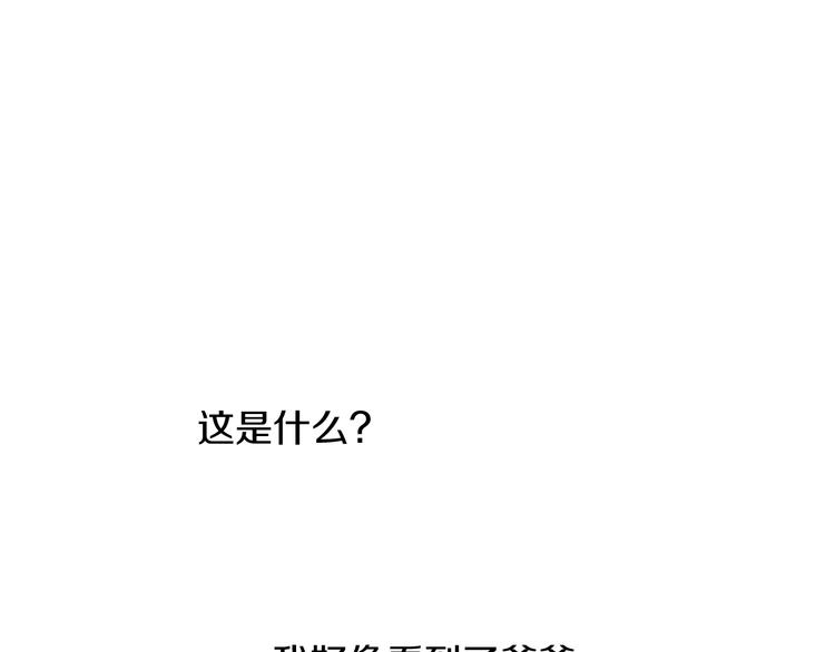 第 120 页