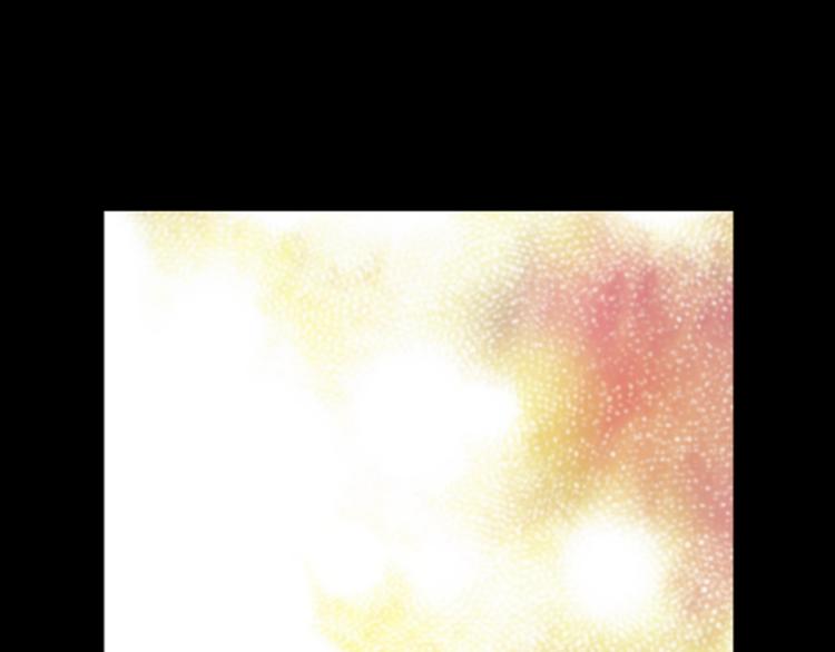 第 146 页