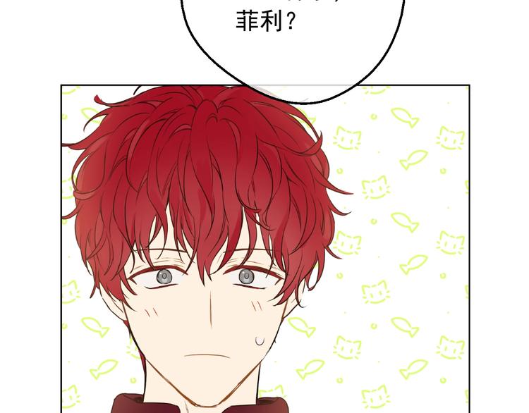 第 113 页