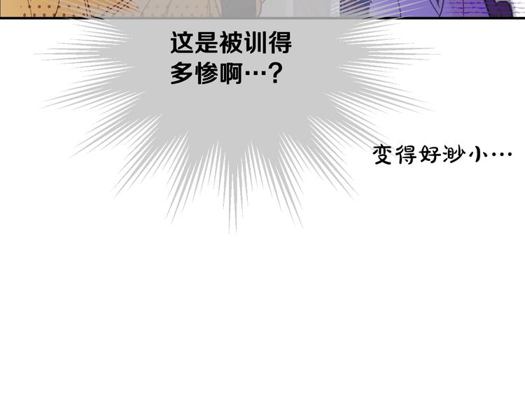 第 53 页